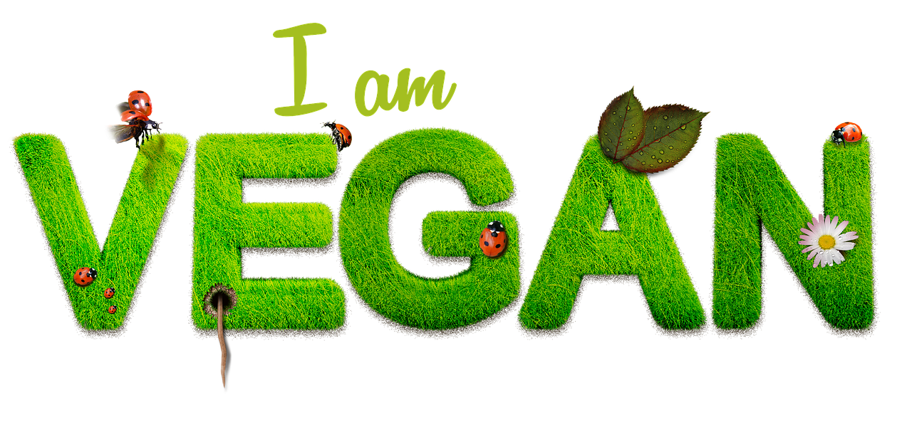 5 egyszerű módszer a vegán életmód elkezdéséhez