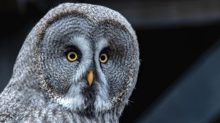Egészség horoszkóp tavaszi csillagjegyekre