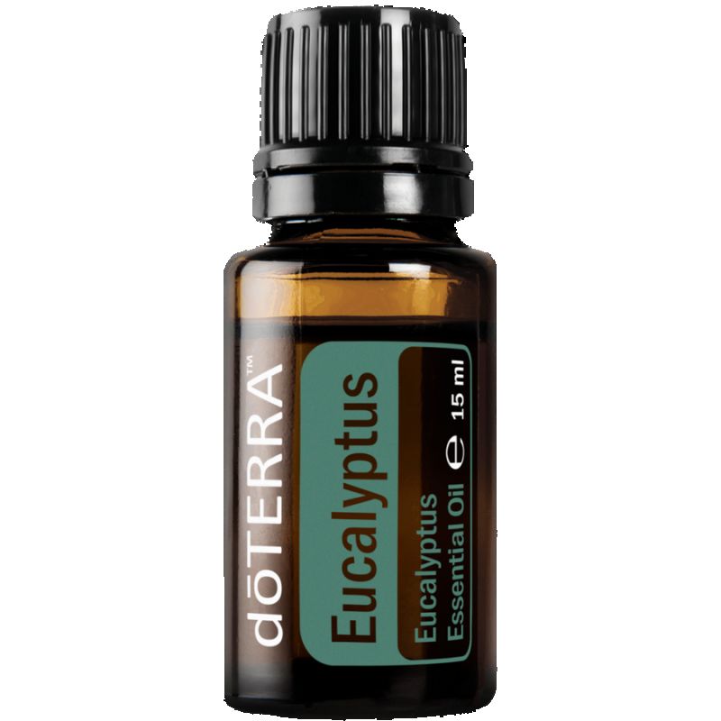 Eucalyptus – Eukaplitusz illóolaj 15 ml - doTERRA